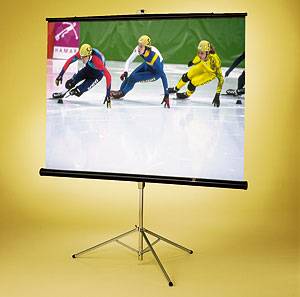 Экран Diplomat NTSC (3:4) 305/120" (10') 175*234 XT1000E (MW)