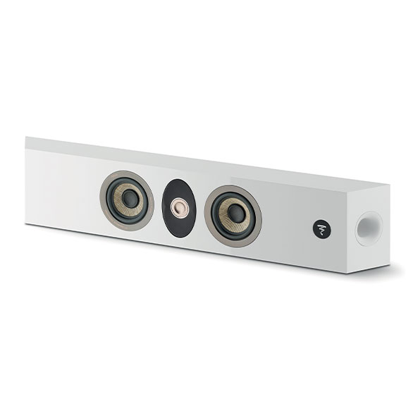 Focal On Wall 301