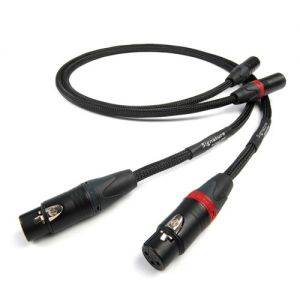 Chord Signature XLR 1m