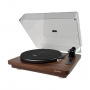 Phaze Audio Diana MK2 Walnut