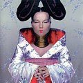 Bjork Bjork