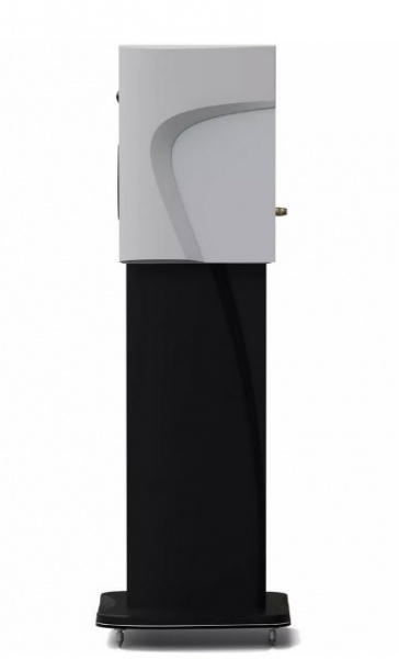 Morel Avyra 622