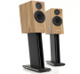 Pylon Audio Jasper Monitor 18 Active