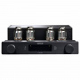 Octave V 40 SE