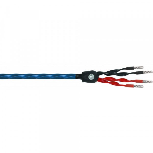 Wireworld Oasis 8 Biwire Speaker Cable 2.0m