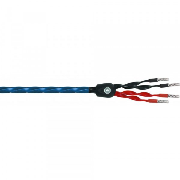 Wireworld Oasis 8 Biwire Speaker Cable 2.0m