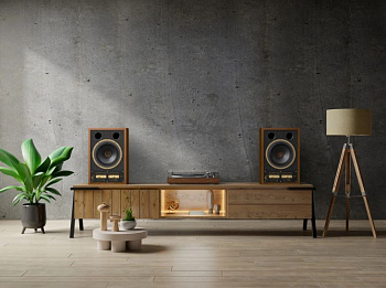 Tannoy Super Gold Monitor 10