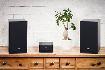 Paradigm Monitor SE Atom