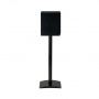 Paradigm Monitor SE Atom