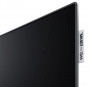 Loewe We. SEE 48 Oled