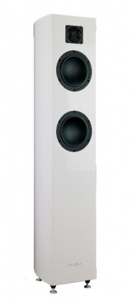 Gauder Akustik Arcona 60 MkII SD