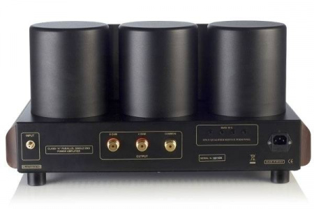 Mastersound PF 100 Limited