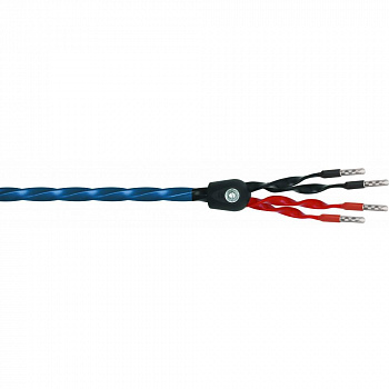 Wireworld Oasis 8 Biwire Speaker Cable 2.5m
