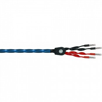Wireworld Oasis 8 Biwire Speaker Cable 2.5m
