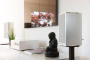 Piega Premium 301