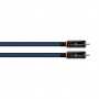 Wireworld Oasis 10 Interconnect RCA