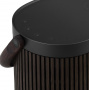 Bang & Olufsen Beosound A5 Dark Oak