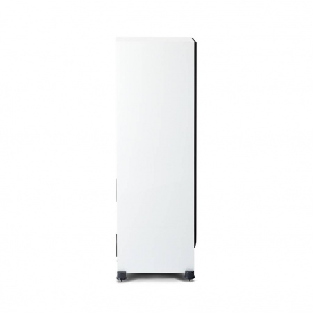 Paradigm Monitor SE 6000F