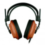 Fostex T60RP