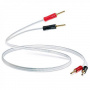 QED XT25 Pre-Term 3.0m, Banana (QE1462)