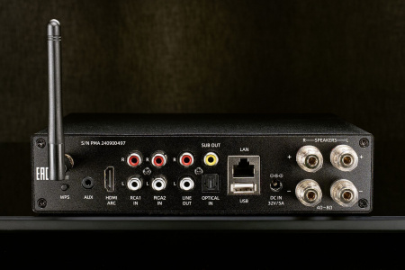 Premiera Mini Amp