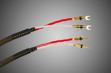 Tchernov Cable Reference DSC SC Sp/Bn 3.1 m