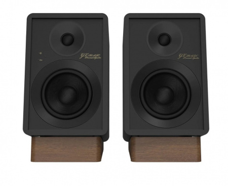 Onkyo GX-30ARC активная беспроводная акустика