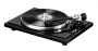 E.A.T. B-Sharp (2M Blue) Piano Black