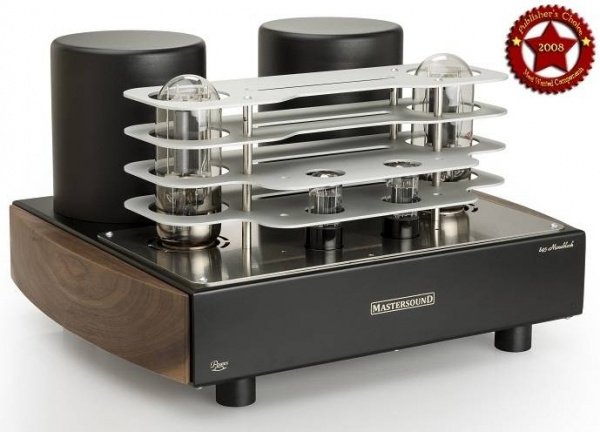 Mastersound 845 Monoblock