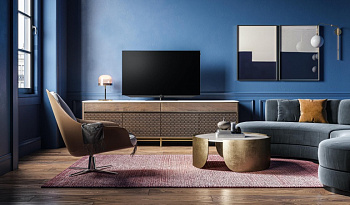 Loewe bild v.55 dr+