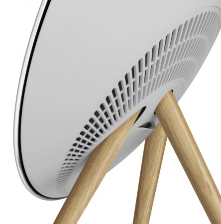 Bang & Olufsen Beosound A9 5th Generation Natural Aluminium