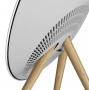 Bang & Olufsen Beosound A9 5th Generation Natural Aluminium