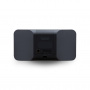 Bluesound PULSE MINI 2i Black