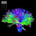 Muse
