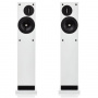 ProAc Response D20R