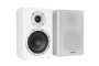 Полочная акустика Premiera DELTA DS-601