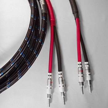 DH Labs Q-10 Signature Speaker Cable Locking Bananas 2.5m