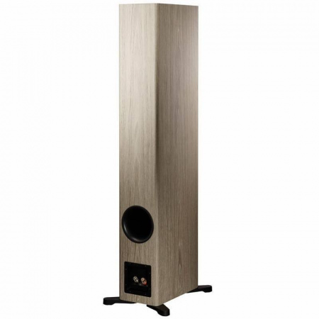 Dynaudio Evoke 50