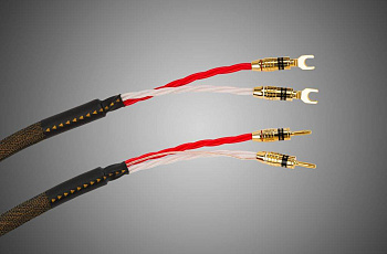 Tchernov Cable Reference DSC SC Sp/Bn 2.65 m
