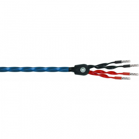 Wireworld Oasis 8 Biwire Speaker Cable 3.0m