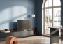 Loewe bild v.48 dr+