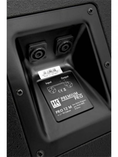 HK Audio PR:O 12 M