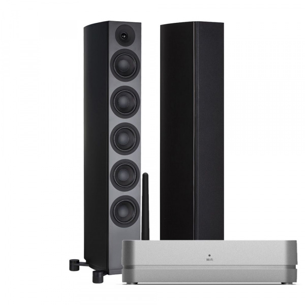 System Audio SA legend 60.2 silverback + Stereo Hub