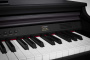 Artesia DP-10e