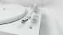 Phaze Audio Adelle Siberian white