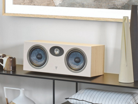 Focal Theva Center