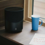 Bluesound Pulse M Black