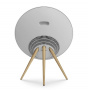Bang & Olufsen Beosound A9 5th Generation Natural Aluminium