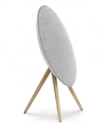 Bang & Olufsen Beosound A9 5th Generation Natural Aluminium