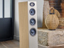 Focal Theva №2